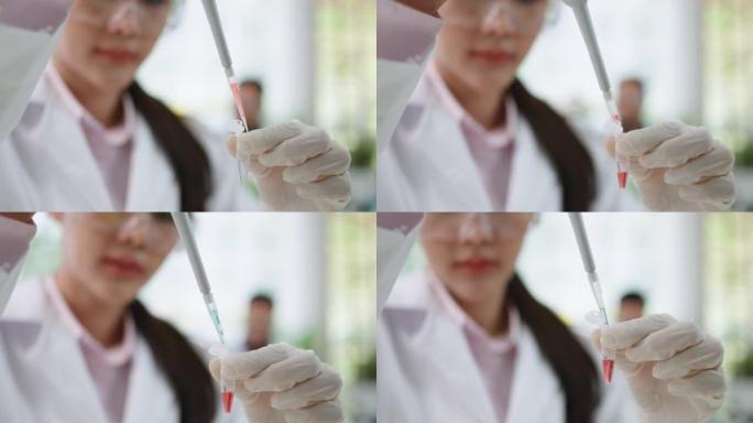 年轻的亚洲研究人员在实验室外套中使用微量移液管并将粉红色溶液转移到eppendorf管中。在现代实验