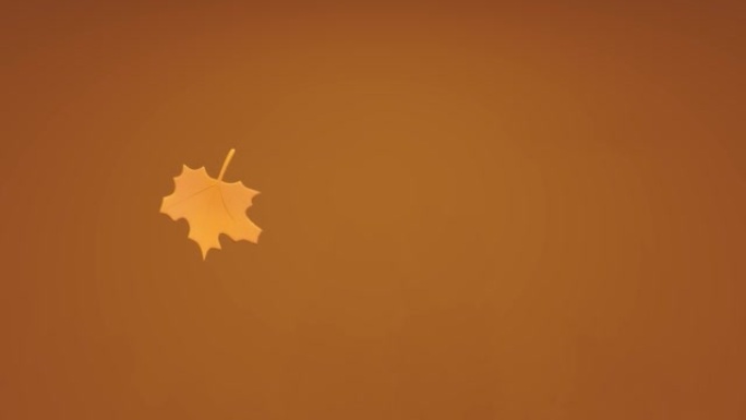 渐变背景上的秋天落叶。吹风和飞叶循环3D渲染