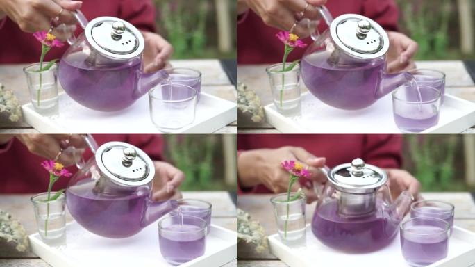 关闭倒入鹰花茶壶 (阴蒂) 或在印度尼西亚被称为Bunga telang提取物茶