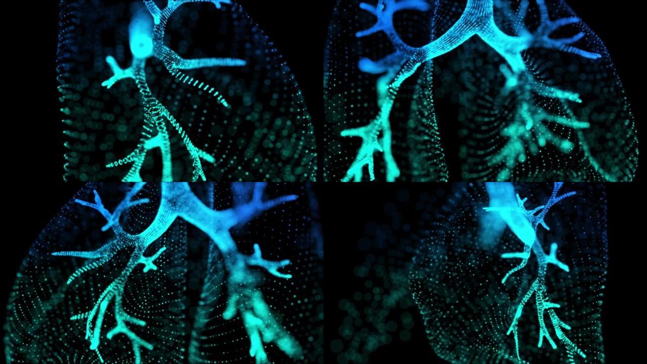 旋转360程度的人的肺。人肺模型的发光蓝光粒子点。3d虚拟空间中的无缝循环运动动画神经元