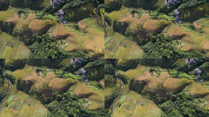 桂林龙脊镇梯田的空中平移视图