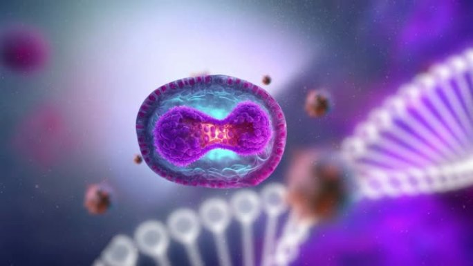 病毒是猴痘病毒的新名称，世卫组织推荐猴痘疾病的新名称