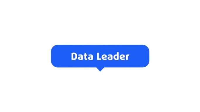 数据领导者