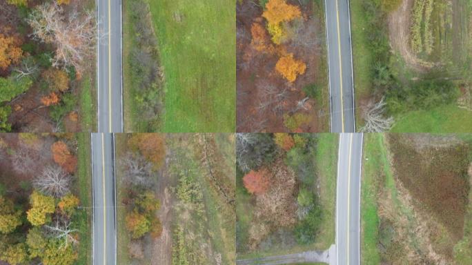 纽约歌珊被秋树包围的道路鸟瞰图