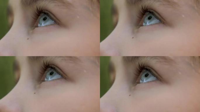 孩子的蓝眼睛看特写。在户外仰望天空的人。肖像儿童女孩祈祷仰望天空，带着希望和信仰特写。眼睛女孩仰望上