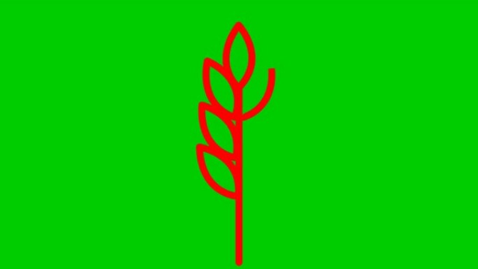 麦穗的动画红色符号。收获、食物、面包的概念。线性图标。矢量插图孤立在绿色背景上。