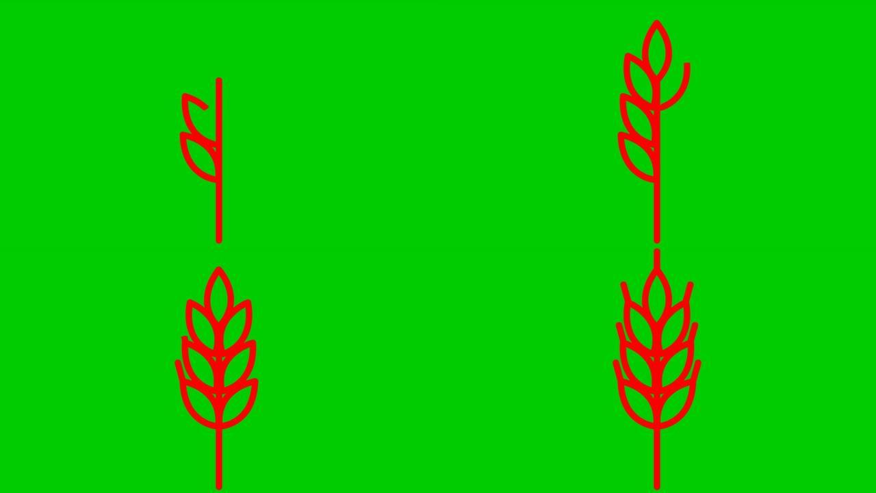 麦穗的动画红色符号。收获、食物、面包的概念。线性图标。矢量插图孤立在绿色背景上。