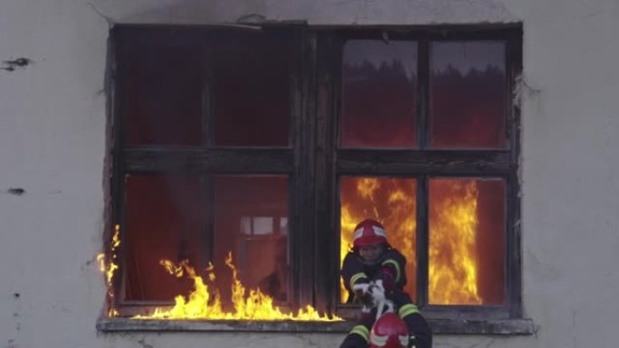 消防员英雄从火灾事故中从燃烧的建筑区域带走女婴。从危险的地方营救人们