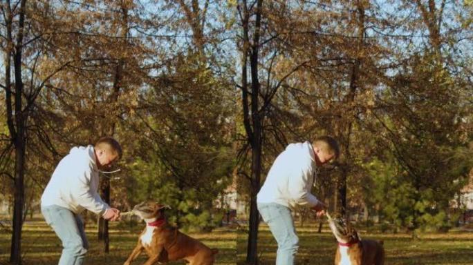 一个男人和他的狗拳击手的垂直镜头，在城市公园散步时玩得很可爱。