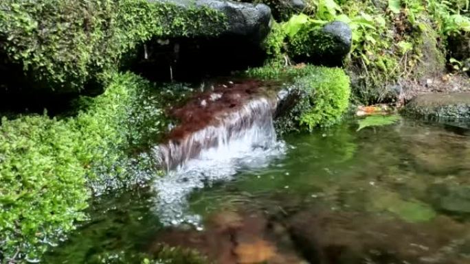 从源头流出的新鲜山泉水