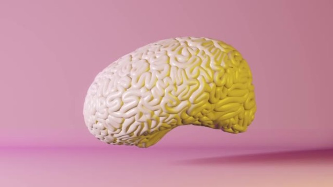 人脑健康霓虹灯粉色背景3d动画。创意人工智能积极思维情感精神卫生记忆改善正念教育认知发展