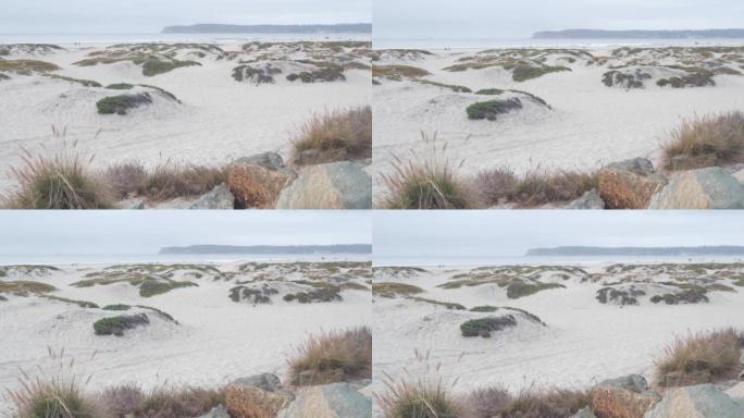 米斯蒂科罗纳多海滩的沙丘，雾中的海浪，美国加利福尼亚海岸。