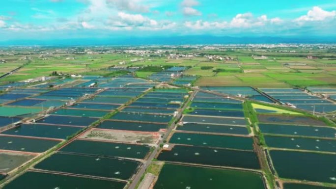 台湾虾鱼养殖场鸟瞰图