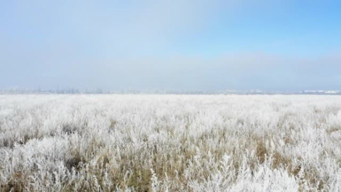 广阔的薄雾笼罩着霜冻和雪-冬日景观