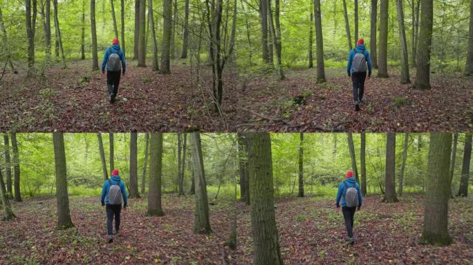 沿着树林里的小路徒步旅行。那家伙背着蓝色背包，穿着运动衫，他的狗走在他旁边。