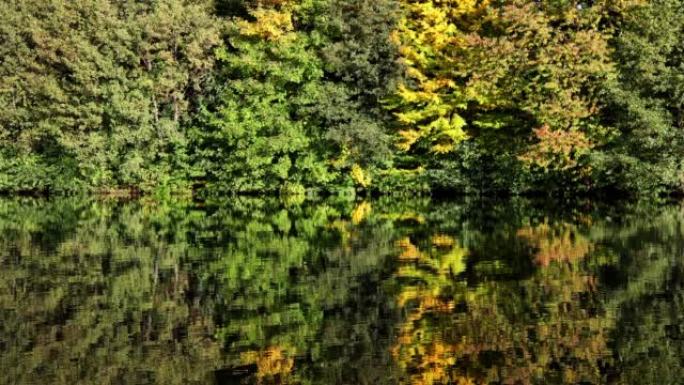 autumn nature reflected in a lake 4k 30fps video