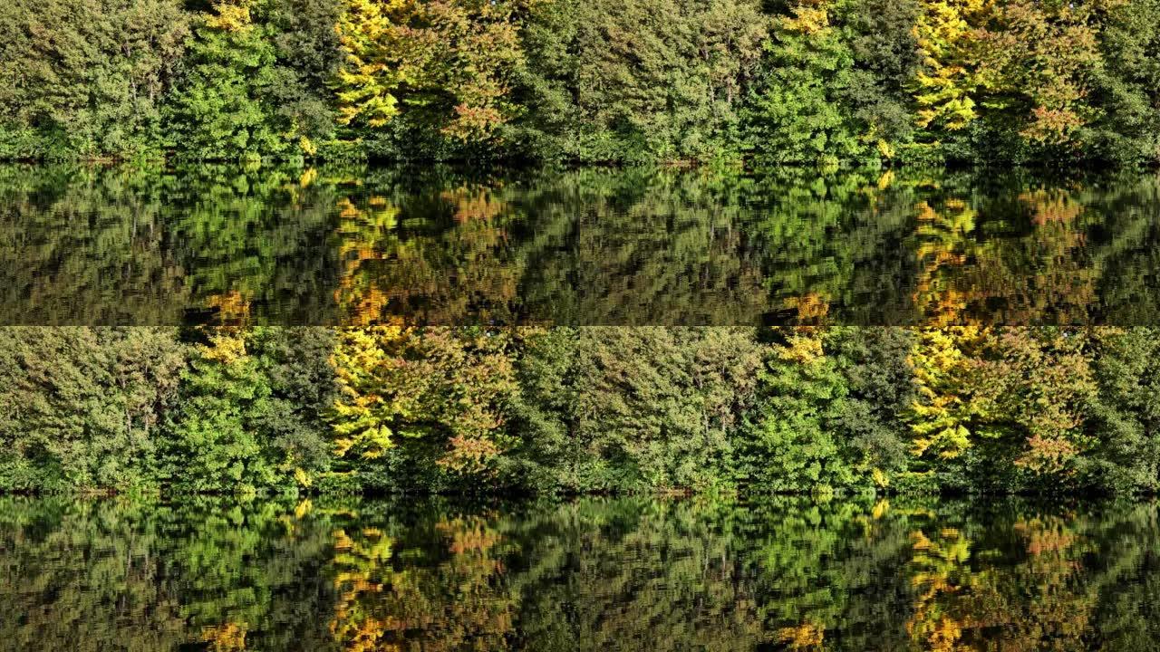 autumn nature reflected in a lake 4k 30fps video