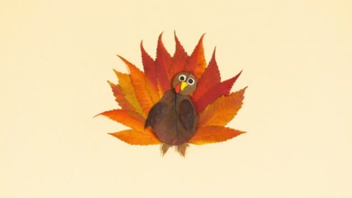 应用秋季火鸡制成的红色秋叶。感恩节概念。土耳其抬起头眨眼。浅黄色背景。