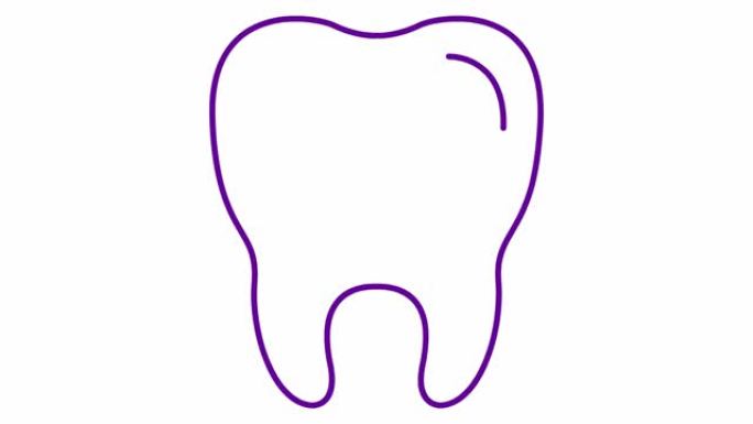 动画牙齿符号是逐渐绘制的。透明牙齿的线性紫色图标。牙科概念。循环视频。矢量插图孤立在白色背景上。