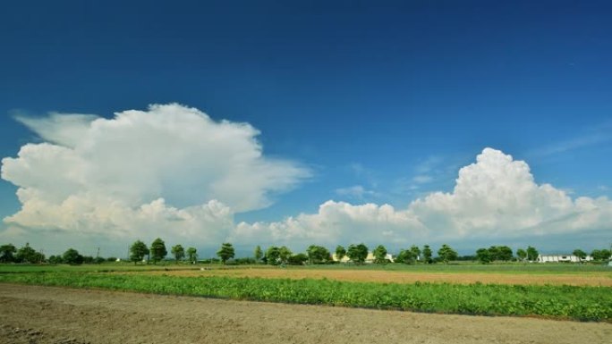 蓝天白云，绿油油庄稼，黄土地田园风光。