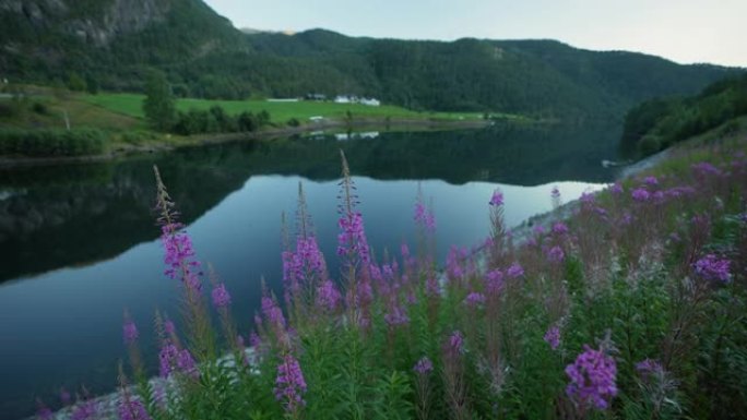 挪威湖泊的风景挪威湖泊挪威农村挪威乡村