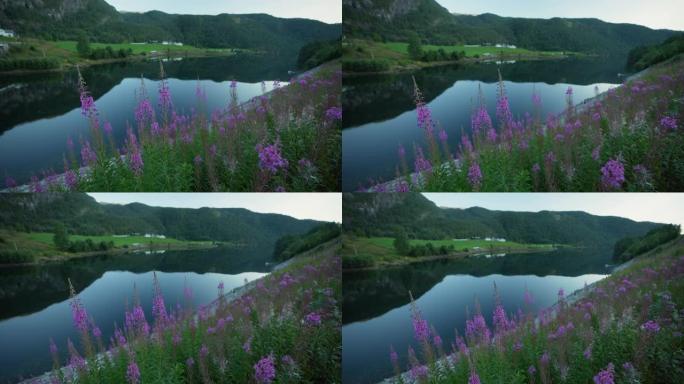 挪威湖泊的风景挪威湖泊挪威农村挪威乡村