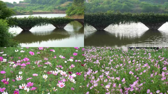 【镜头合集】乡村古桥小溪流水春天风光1