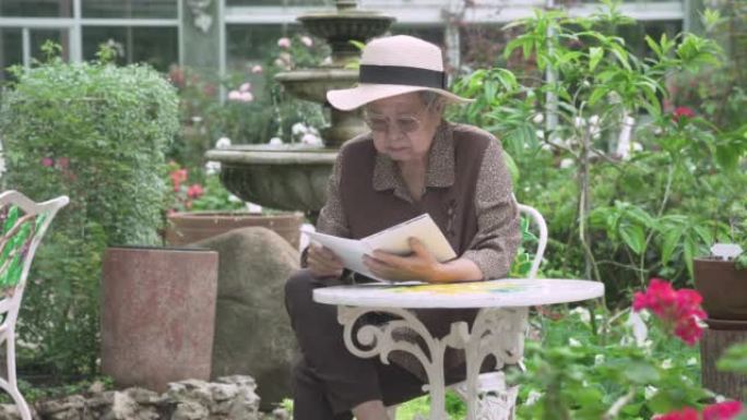 花园公园老年老年妇女阅读书籍