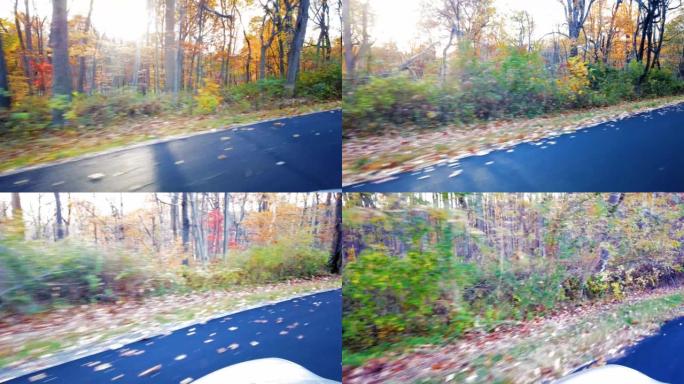 用偏移角度稳定的相机在树林里骑行秋天的落叶