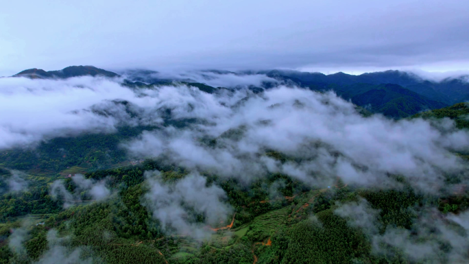 水大自然森林雨滴森林下雨河流山水农业水滴