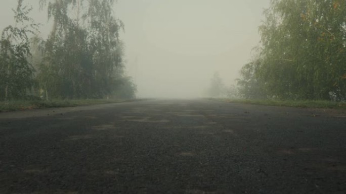 雾气笼罩的晨间柏油路。