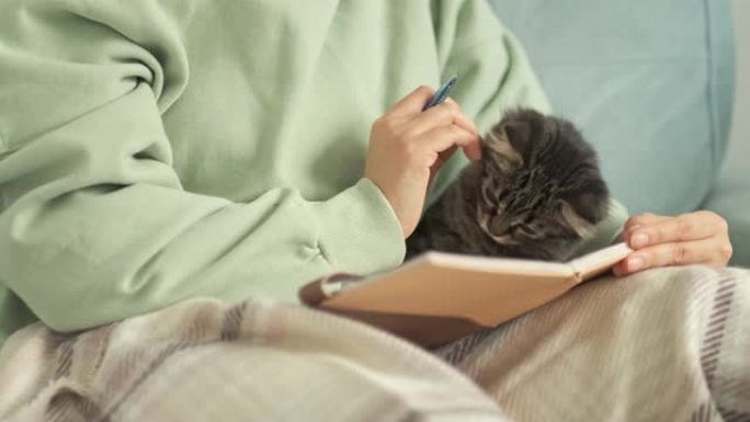 有趣的小猫在笔记本的角落里啃，一只可爱的宠物破坏了女主人的东西。一位年轻女子在日记中写下她的想法。室