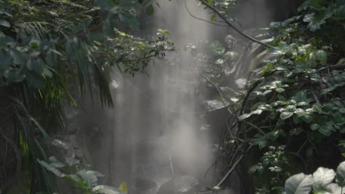 雾穿过丛林小瀑布弥漫