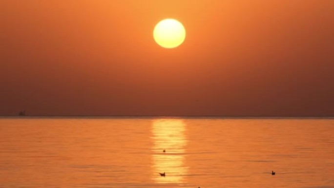 太阳升起的太阳从海面上的特写镜头