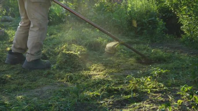 工人用手动燃气割草机割草。割草关闭。园丁清理这片土地上的杂草