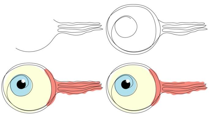 自画眼球在一条线与彩色轮廓。