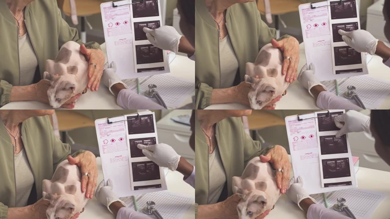 女兽医与主人讨论精灵猫的X光片