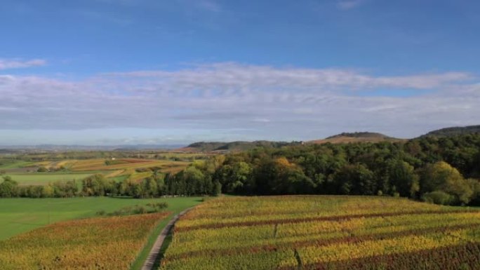 Swabia-Baden-w ü rttemberg以美丽的秋天色彩俯瞰德国南部葡萄园，农业区，草地