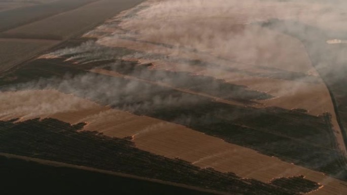 纵火农业竞争在空中燃烧农作物