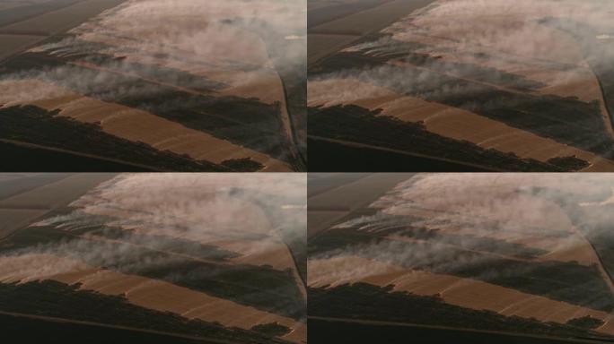 纵火农业竞争在空中燃烧农作物