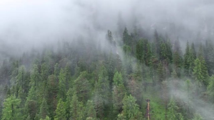 空中无人机拍摄了多洛米蒂与福雷斯，白云岩山脉，白云岩阿尔卑斯山或白云岩阿尔卑斯山的雾状松树树林，是位