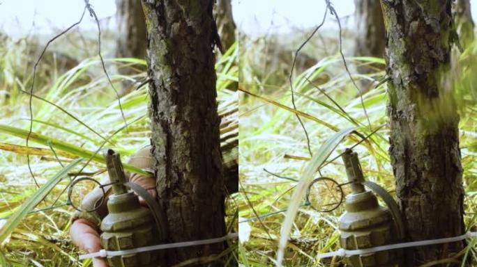 一名士兵用绊网安装手榴弹的垂直视频。敌人在森林里设下的陷阱。