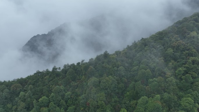 烟雨云雾缥缈的大山