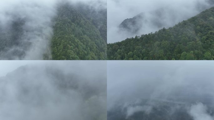 烟雨云雾缥缈的大山