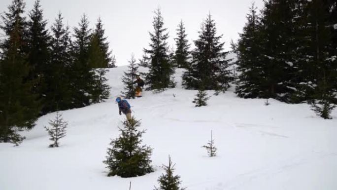 自由滑雪板，在松树森林中的新鲜粉末雪中下坡滑雪，慢动作