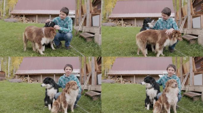 十几岁的农民男孩在美国科罗拉多州的一个小镇家庭牧场上抱着和抚摸他的两只可爱的宠物农场狗