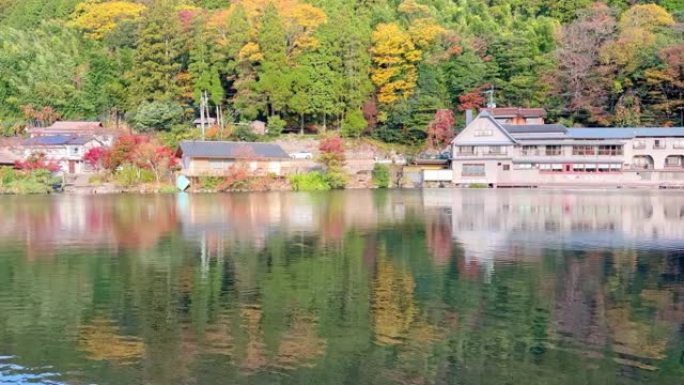 秋叶变红的向上倾斜视频。从水面反射的光照亮了秋叶。壮丽的乡村风光。映在湖中的树木的红叶。
