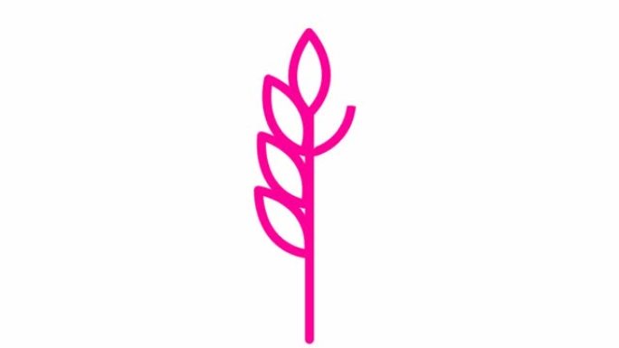 麦穗的动画粉色符号。食物，面包的概念。线性图标。矢量插图孤立在白色背景上。