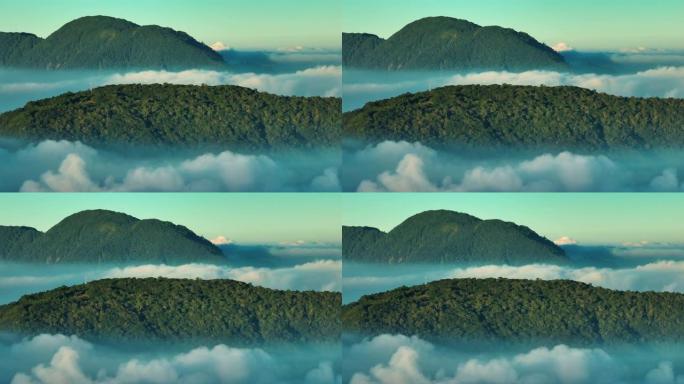 雾云中绿树的山峰鸟瞰图