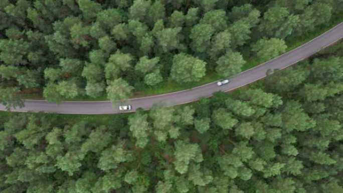 快递运输服务。鸟瞰图白色货车在夏日行驶在穿越广阔森林的柏油路上。松树森林中汽车行驶的航拍。风景优美。